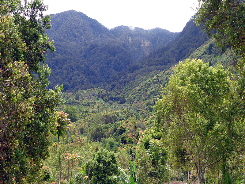 Gunung Kunyit Gunung Kunyit